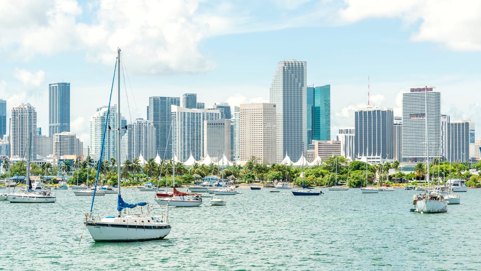 Miami skyline in the evening