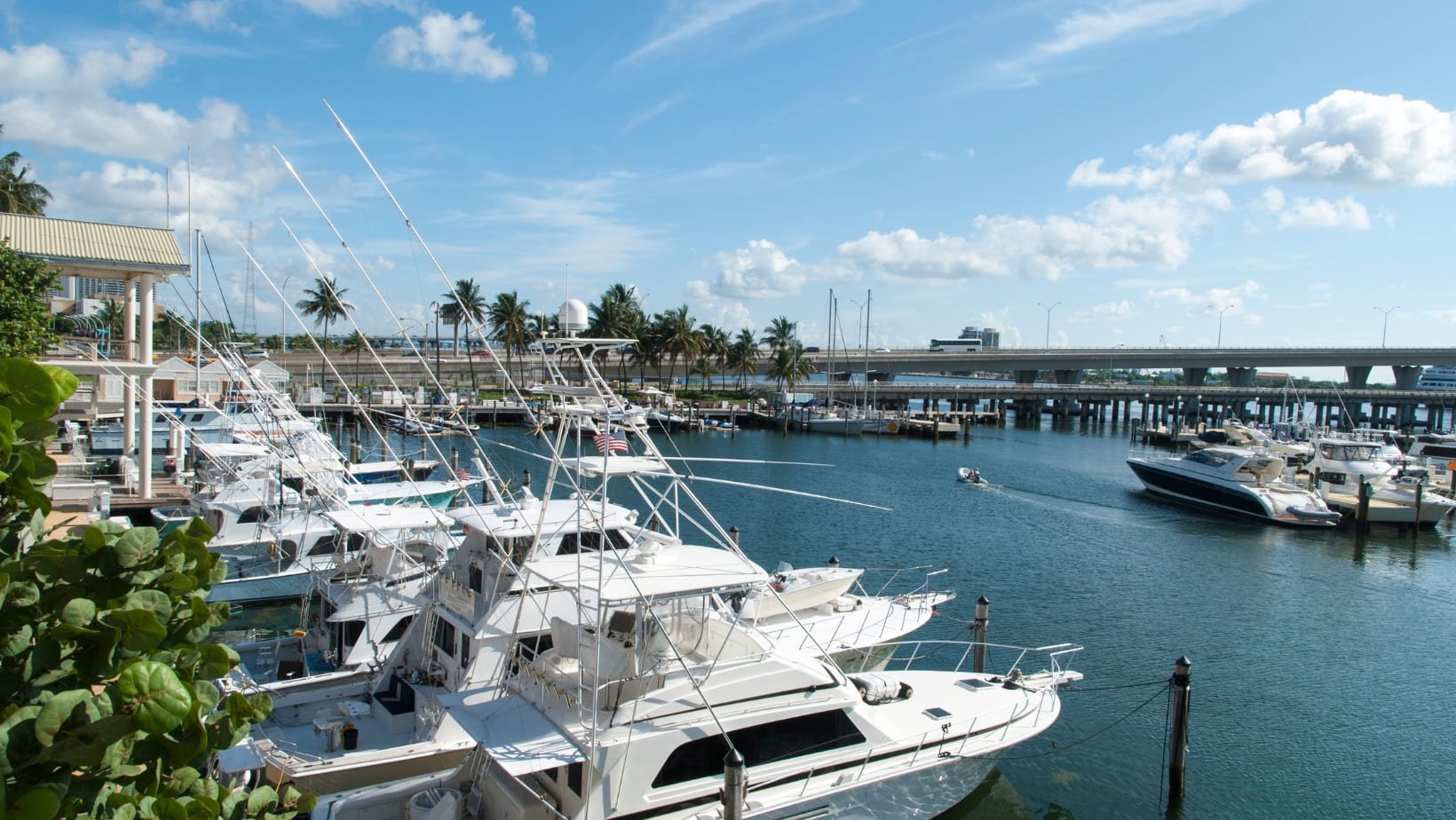 Boats parked in marina of Miami